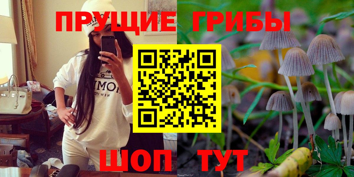 Галлюциногенные грибы Cubensis Гай