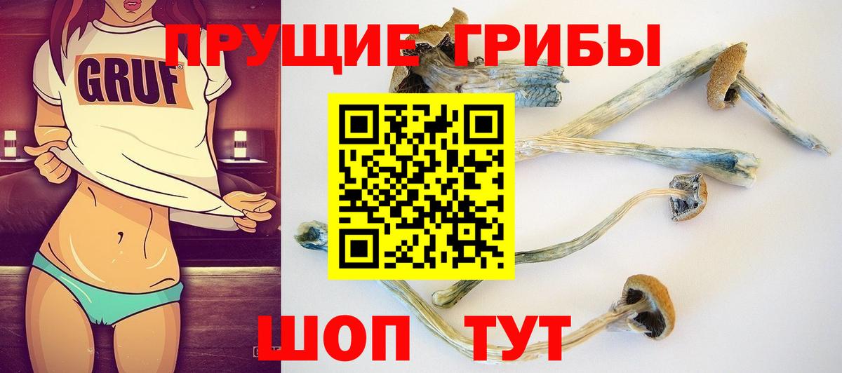 Галлюциногенные грибы мухоморы  Галлюциногенные грибы мицелий  Вход с VPN  Гай 